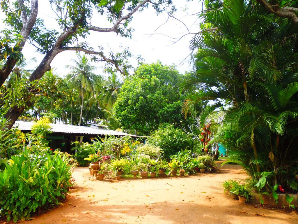 The Nilmini Lodge Sigiriya Eksteriør bilde