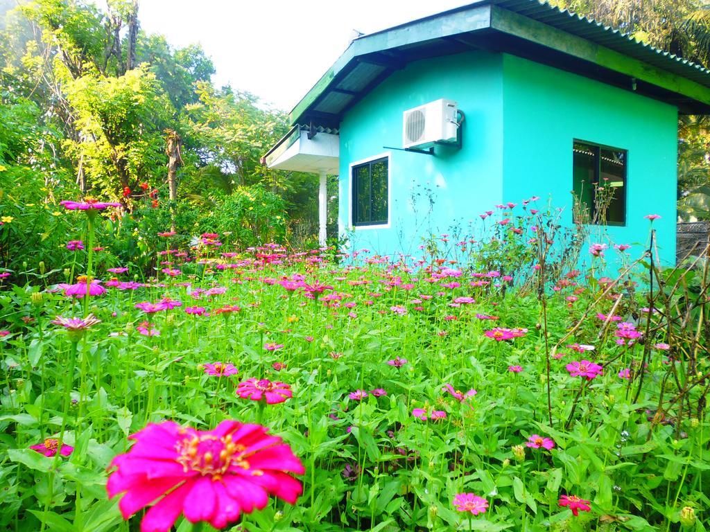 The Nilmini Lodge Sigiriya Rom bilde